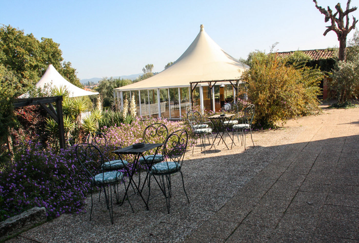 Adventure Park Venue